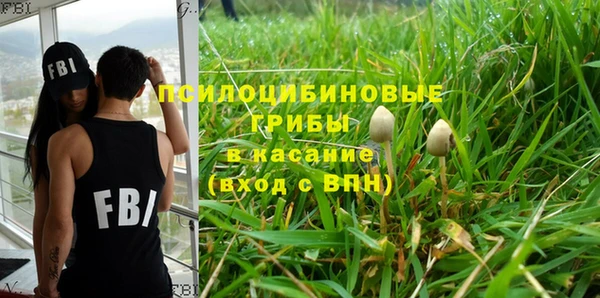 спиды Магас