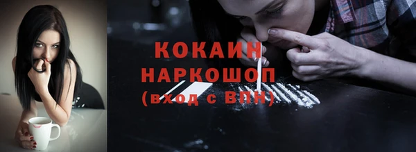 спиды Магас
