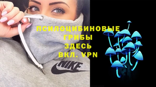 спиды Магас