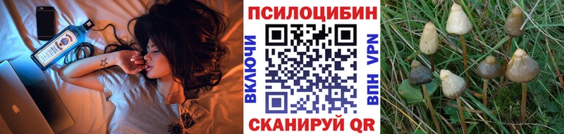 Псилоцибиновые грибы Magic Shrooms  это формула  Терек 